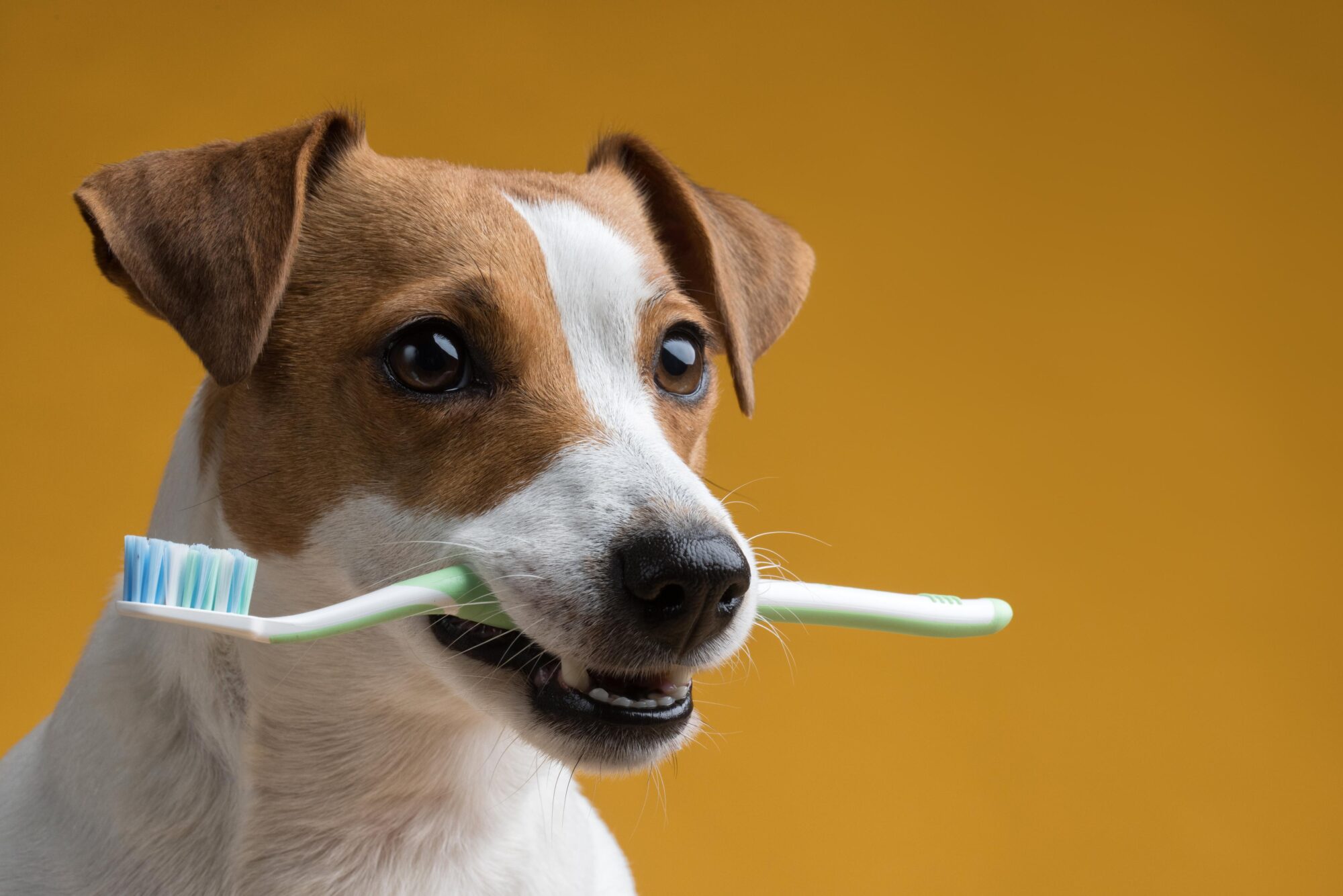 Teeth Brushing